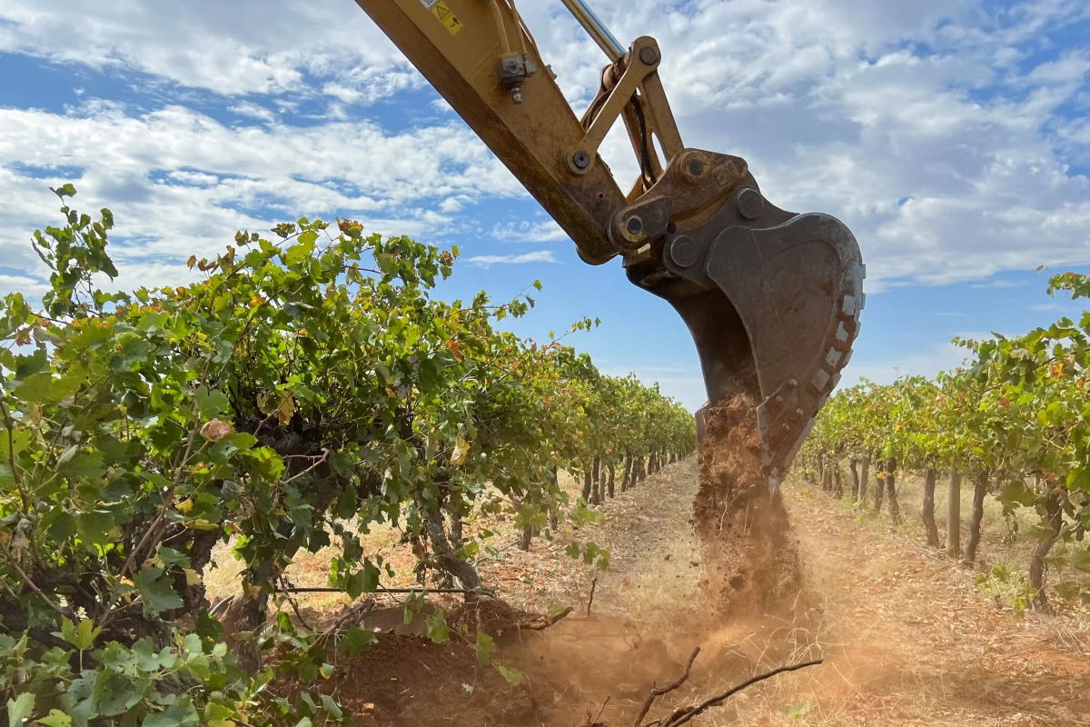 crisi vino australia
