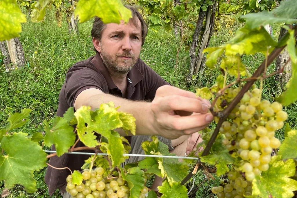 robert princic gradisciutta