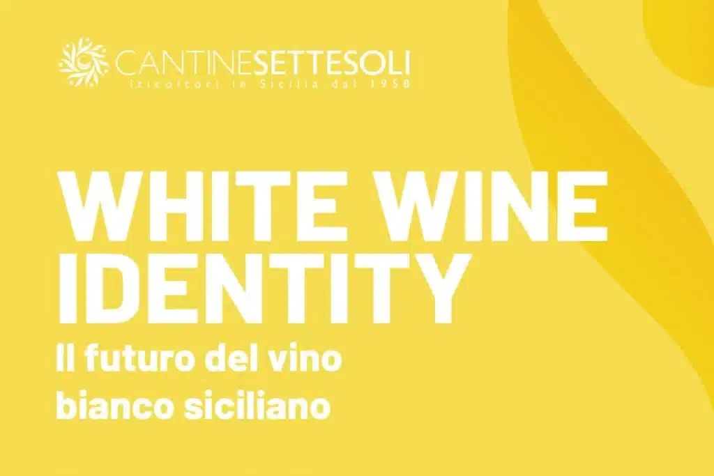 white wine identity progetto cantine settesoli