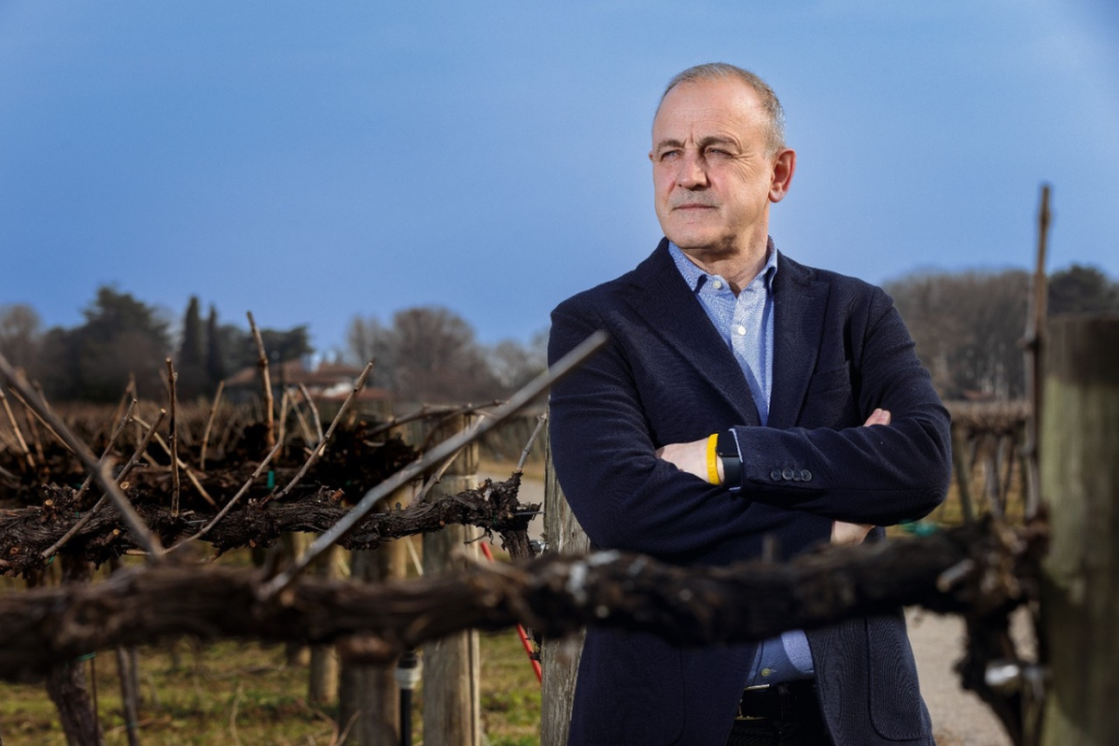 Stefano Trinco riconfermato alla guida del Consorzio DOC Friuli Venezia Giulia