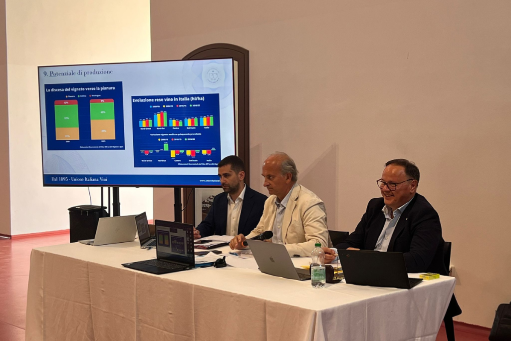 Uiv propone stop di un anno a nuove autorizzazioni di impianto vigneti