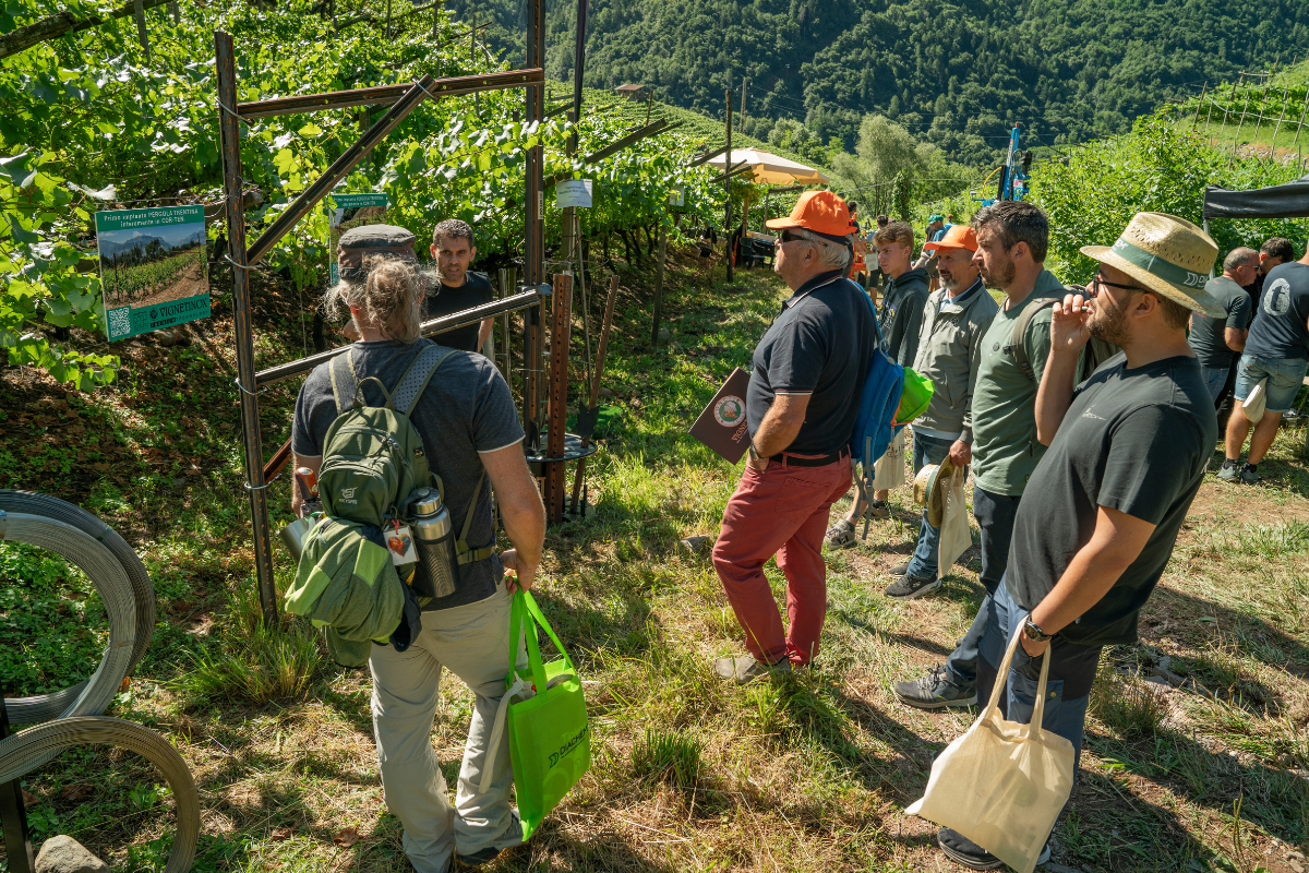 Enovitis extrême da record oltre 1.500 visitatori all'evento dedicato alla viticoltura eroica