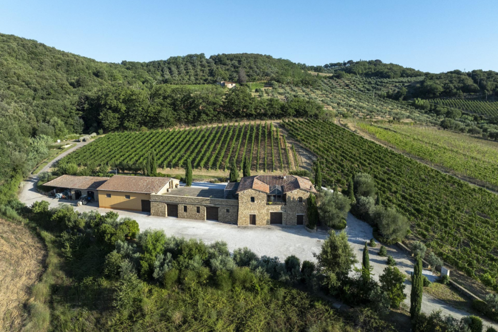 Famiglia Cecchi debutta a Montalcino con la tenuta Aminta