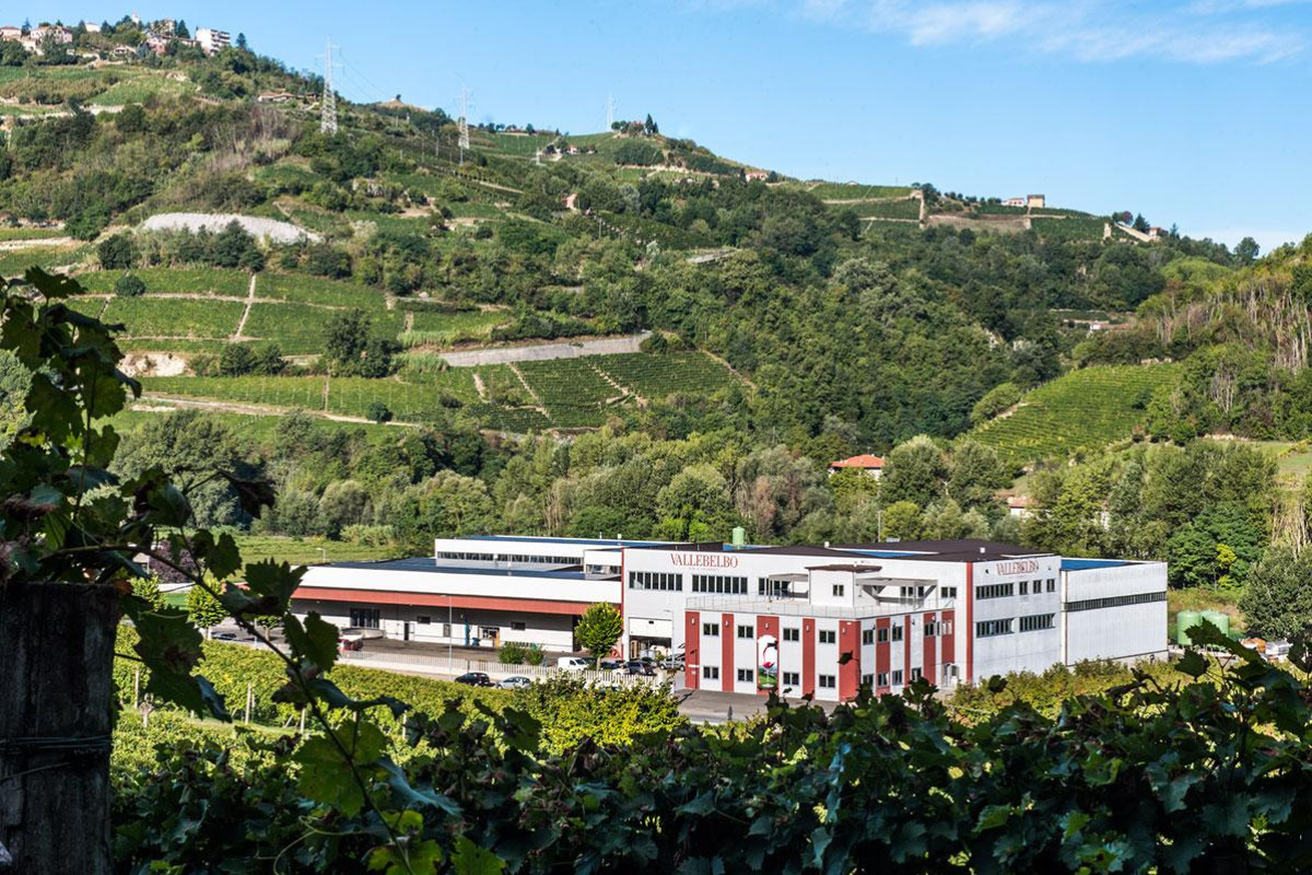 Veraison Group e Vallebelbo verso un'alleanza strategica nel settore vitivinicolo piemontese