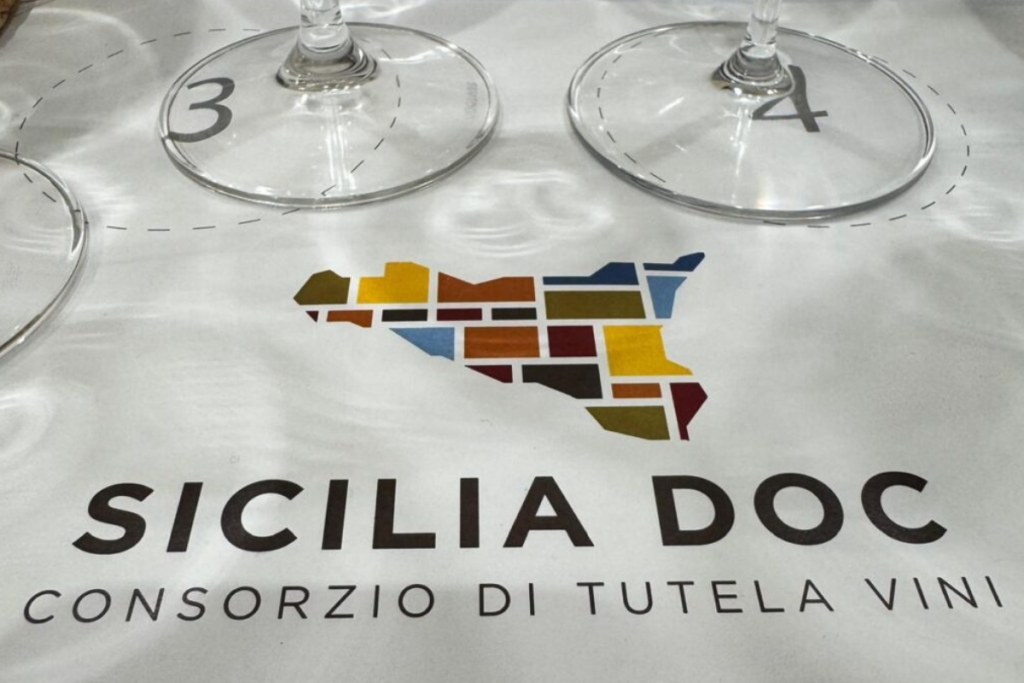 Viticoltura siciliana, ricerca e biodiversità i progetti BI.VI.SI e V.I.S.T.A. Lucido per il futuro del vino