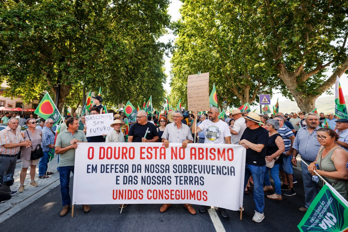 crisi vino porto regione douro