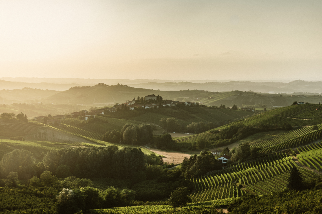 Vendemmia 2025 Asti DOCG qualità ottima ma dazi USA al 15% minacciano il mercato