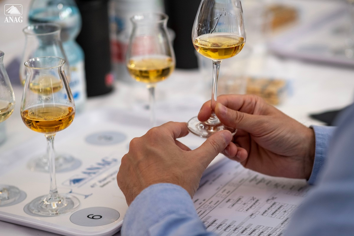 Alambicco d'Oro ANAG 2025 premiazione itinerante a Gazzo Padovano con 100 medaglie assegnate