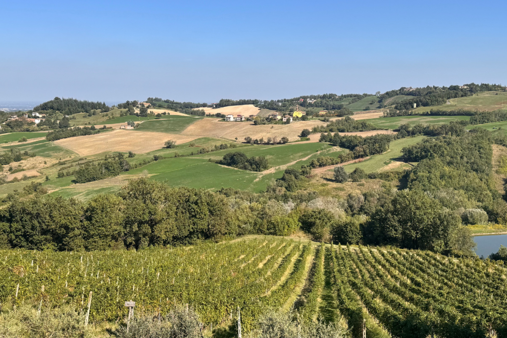 Cantina Il Poggio dove il vino incontra l’accoglienza autentica
