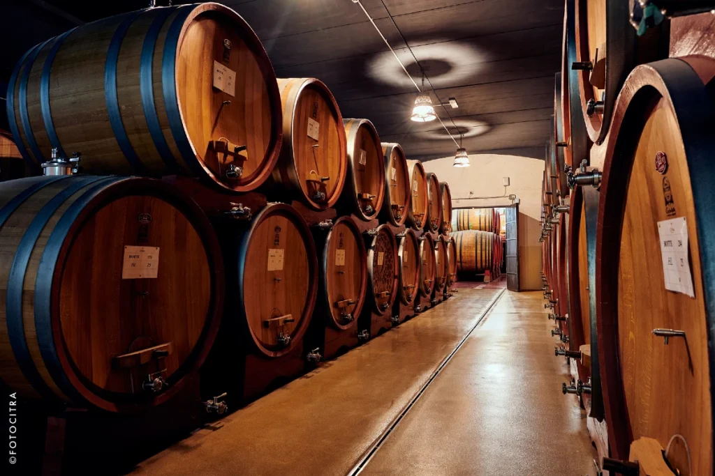 Citra vini abruzzo bottaia