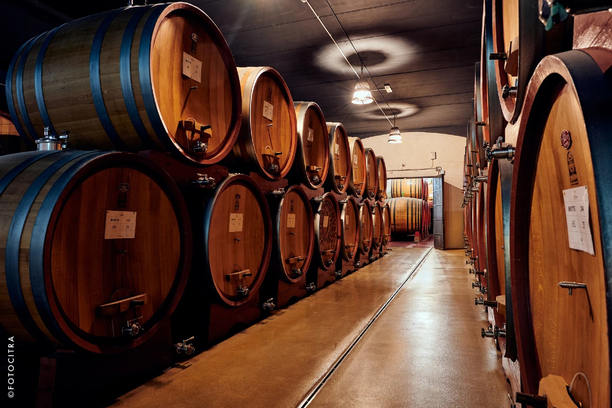 Citra vini abruzzo bottaia