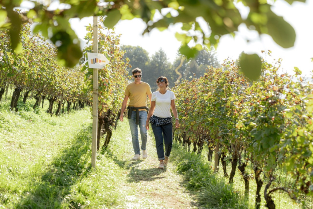 Dolo Vini Miti in Val di Cembra e Fiemme torna il festival della viticoltura eroica