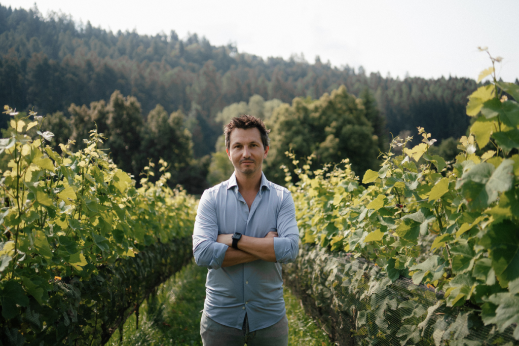 Il futuro del vino Meno paura di innovare, più attenzione al territorio