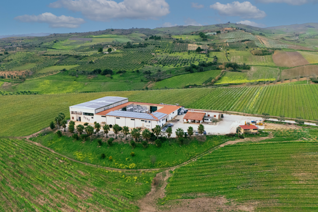 La terra trema, la vite resiste la storia di Vaccaro vini