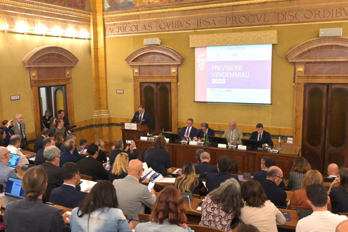 Vendemmia 2025 Italia leader mondiale con 47,4 milioni di ettolitri, ma il mercato preoccupa