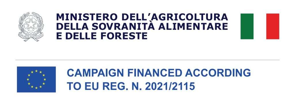 double OCM Logo 2025