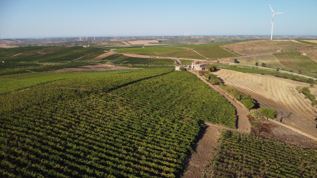 392814435 931920731832647 5233368065399111754 n