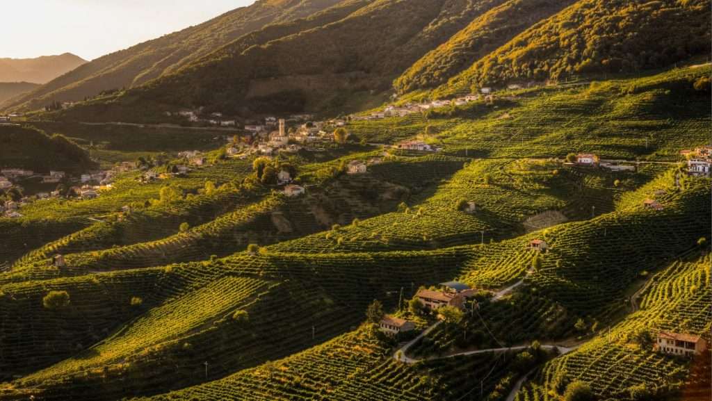 484046431 24121054777484133 4462505590527429644 n