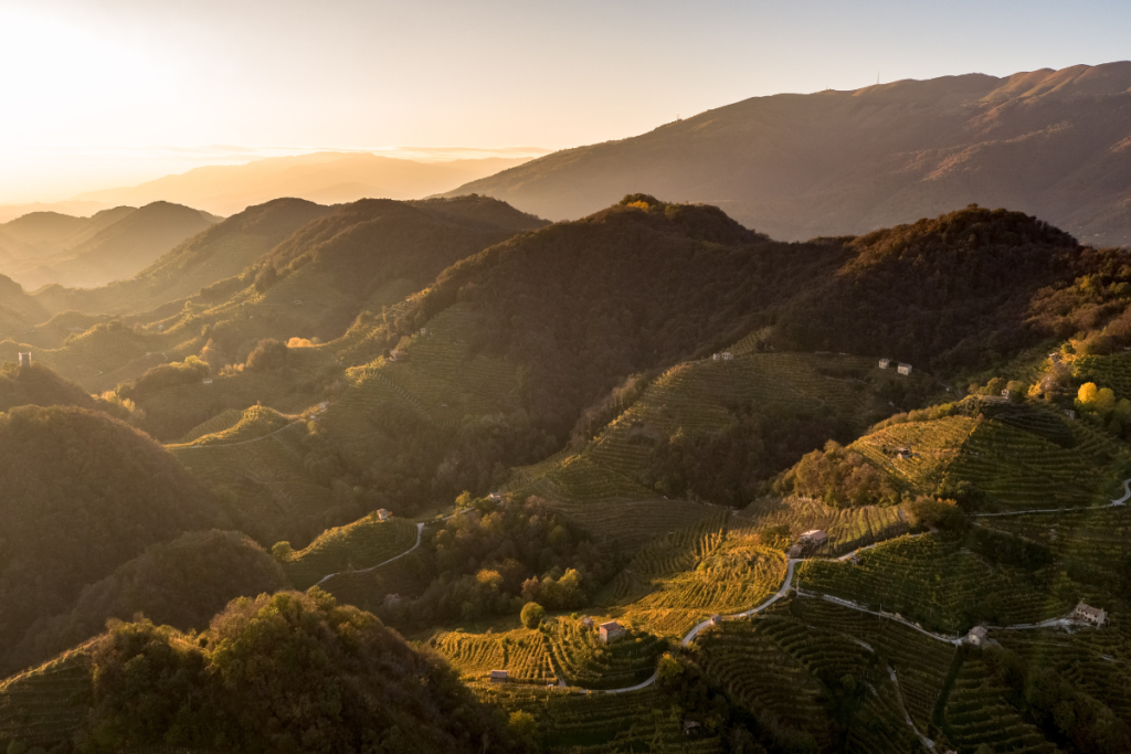Colli del Soligo, il modello cooperativo veneto regala un esempio di visione e diversificazione