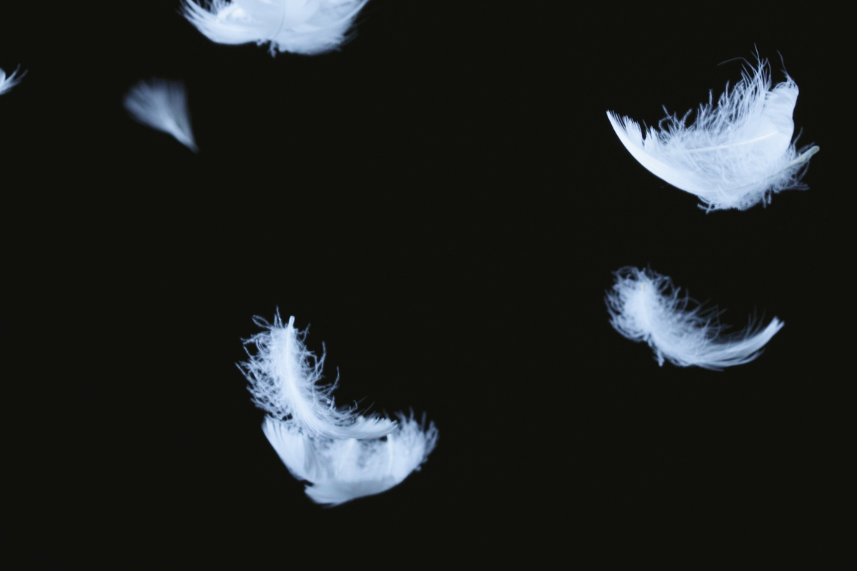 Fine di un’epoca di leggerezza il vino nella società della sobrietà consapevole