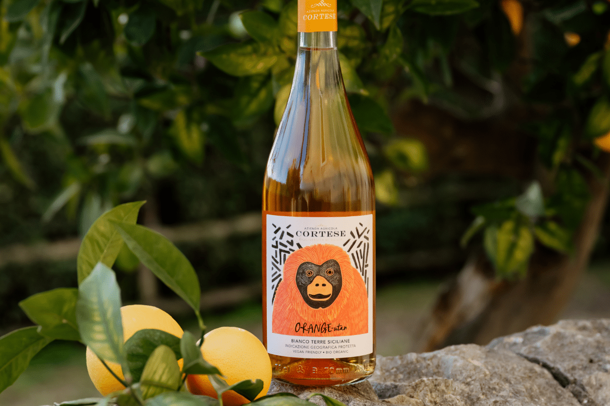Orange utan il bianco che racchiude la filosofia di Cortese tra tradizione siciliana e innovazione trentina