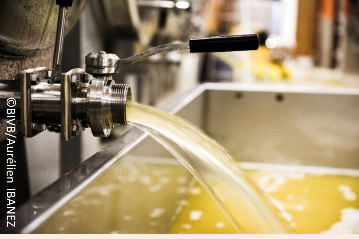 Progetto VOLTA in collaborazione con Vinventions, la scienza misura la longevità dei vini bianchi di Borgogna