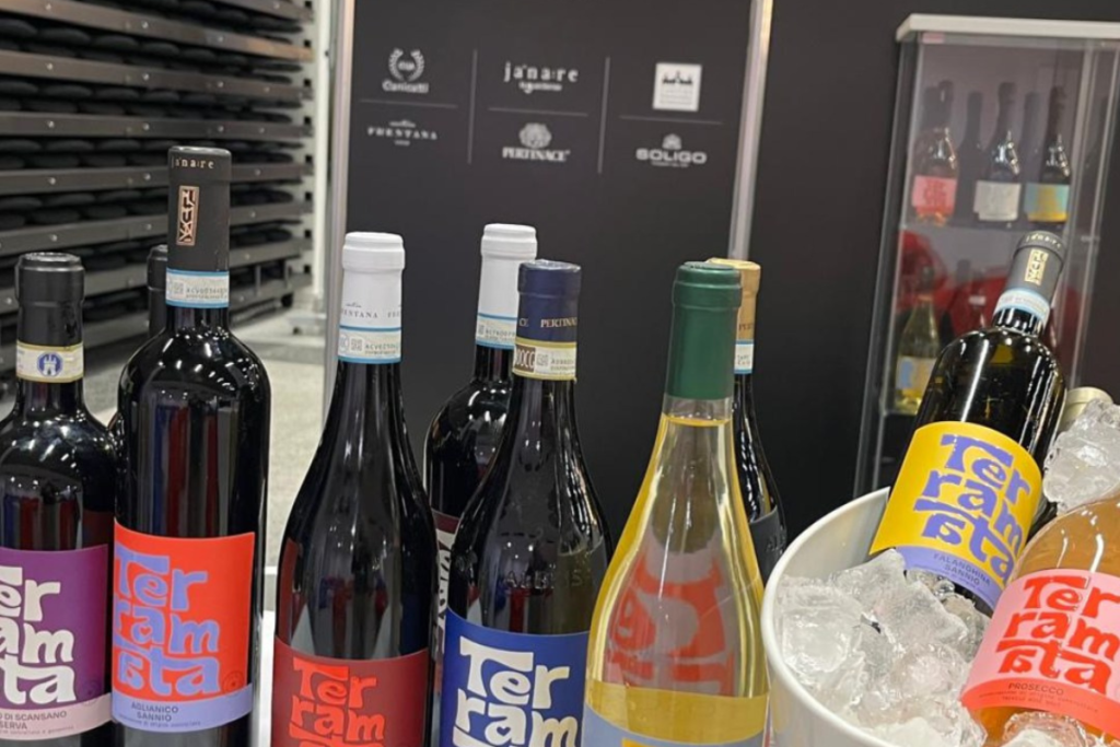 Terramata, l’anima condivisa di The Wine Net la cooperazione diventa racconto