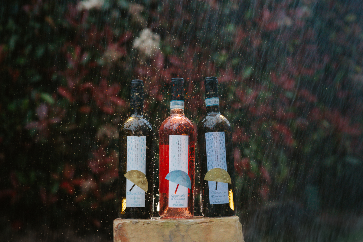 Tre nuove espressioni per il progetto biologico Chiamami Quando Piove di Vini Valori 