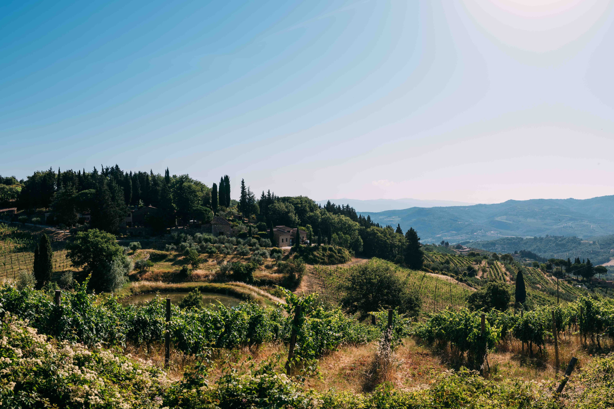 Vecchie Terre di Montefili Vinea Vecchia e Bruno di Rocca 2020, eccellenza tra Sangiovese e Cabernet