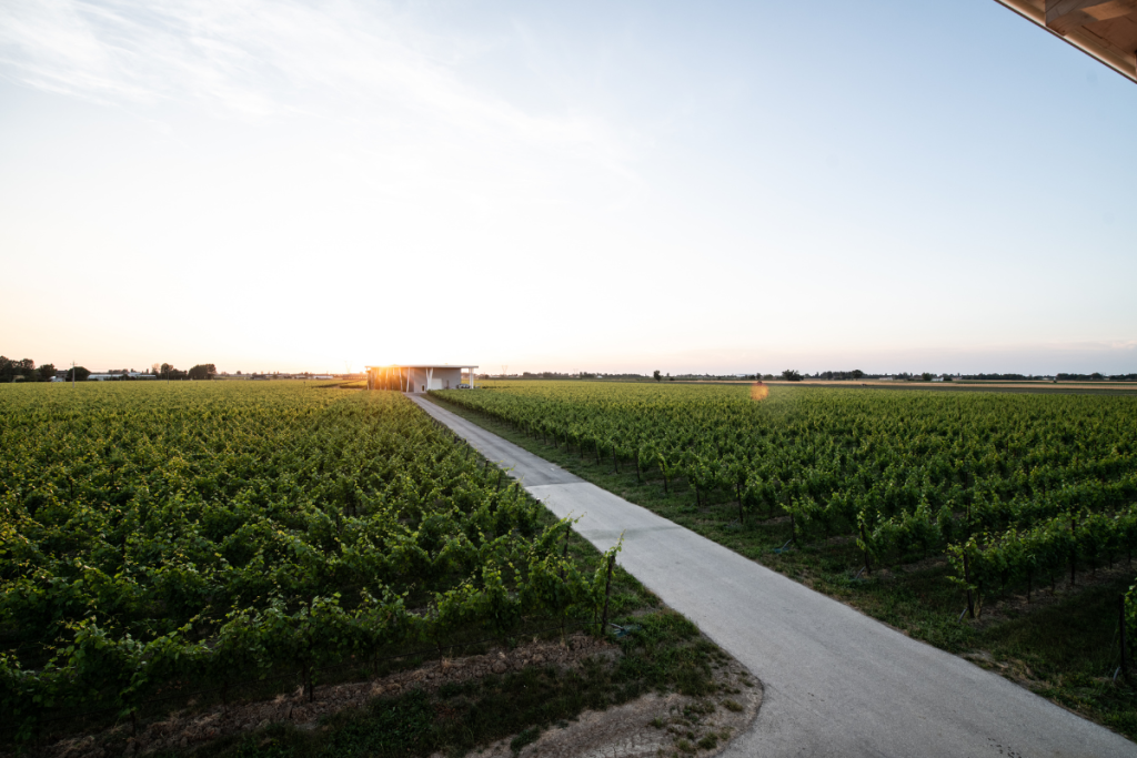 Ventiventi bollicine bio da Modena con Metodo Classico e anima sostenibile