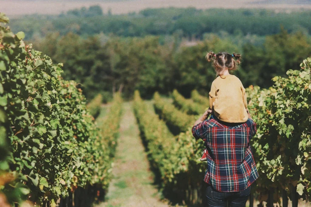 enoturismo australia vino