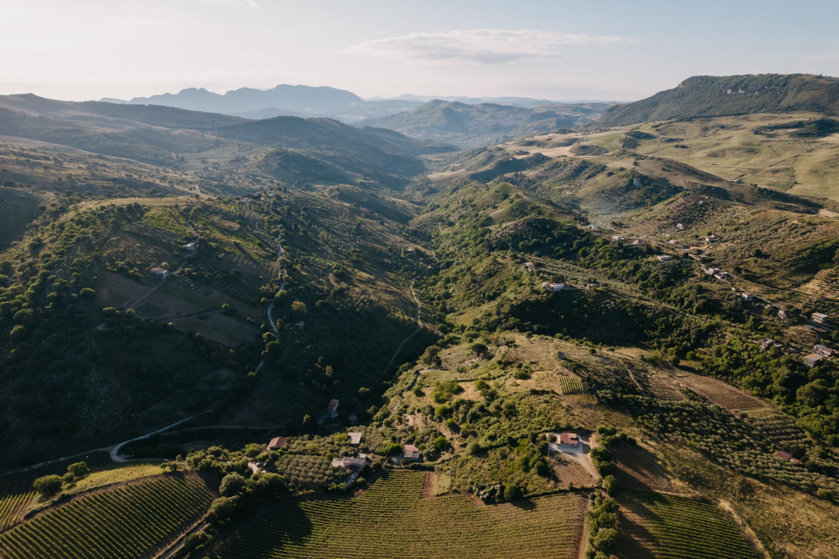 Baglio di Pianetto cede la Tenuta Baroni e si concentra sui vigneti di alta quota