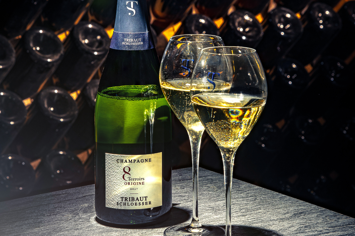 Champagne Tribaut Schloesser l’equilibrio sostenibile della Vallée du Brunet