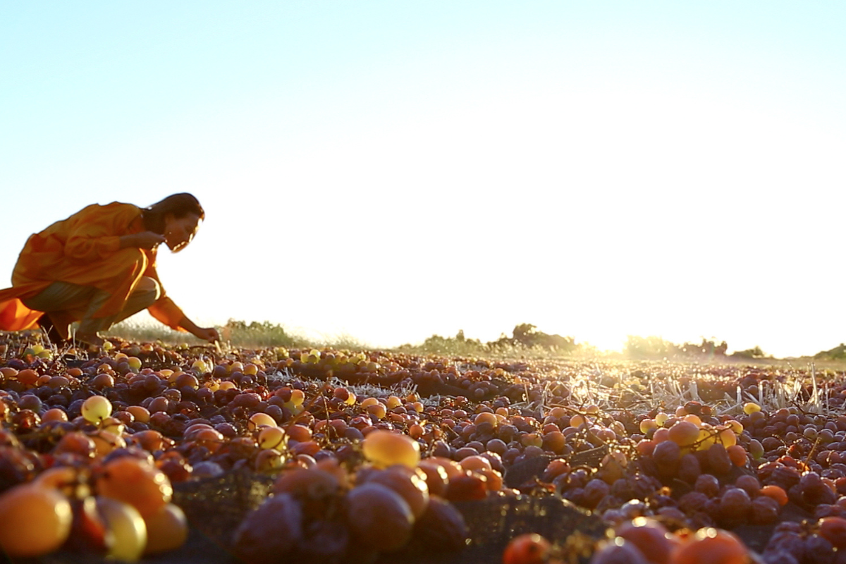 Progetto senza titolo
