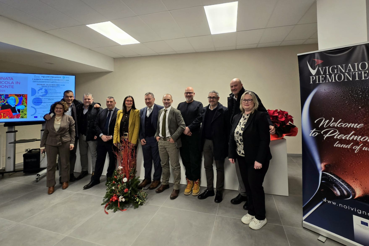 Annata viticola in Piemonte produzione in calo ma qualità eccellente, crescono export e enoturismo