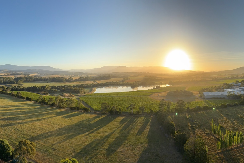 Australia, un sistema vino che sa guardarsi allo specchio. E noi?