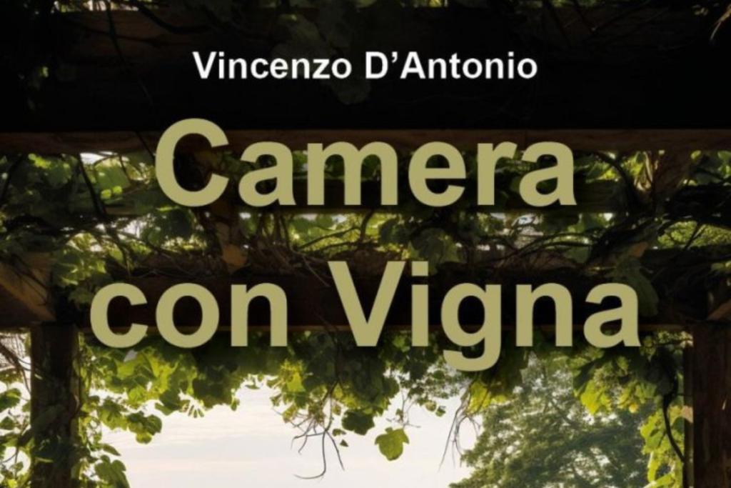 Camere con Vigna l’Italia che accoglie tra filari e ospitalità