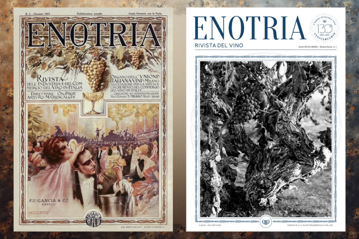 Enotria rinasce dopo 14 anni la storica rivista Uiv torna nel 2026