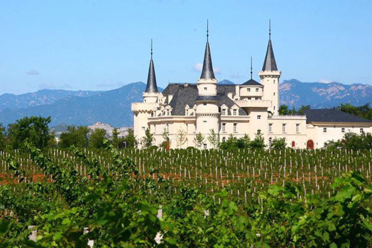 Progetto senza titolo (1)