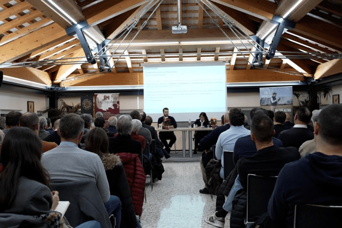 Prosecco DOC verso la certificazione ISO 37101 un sistema comune per la sostenibilità di filiera