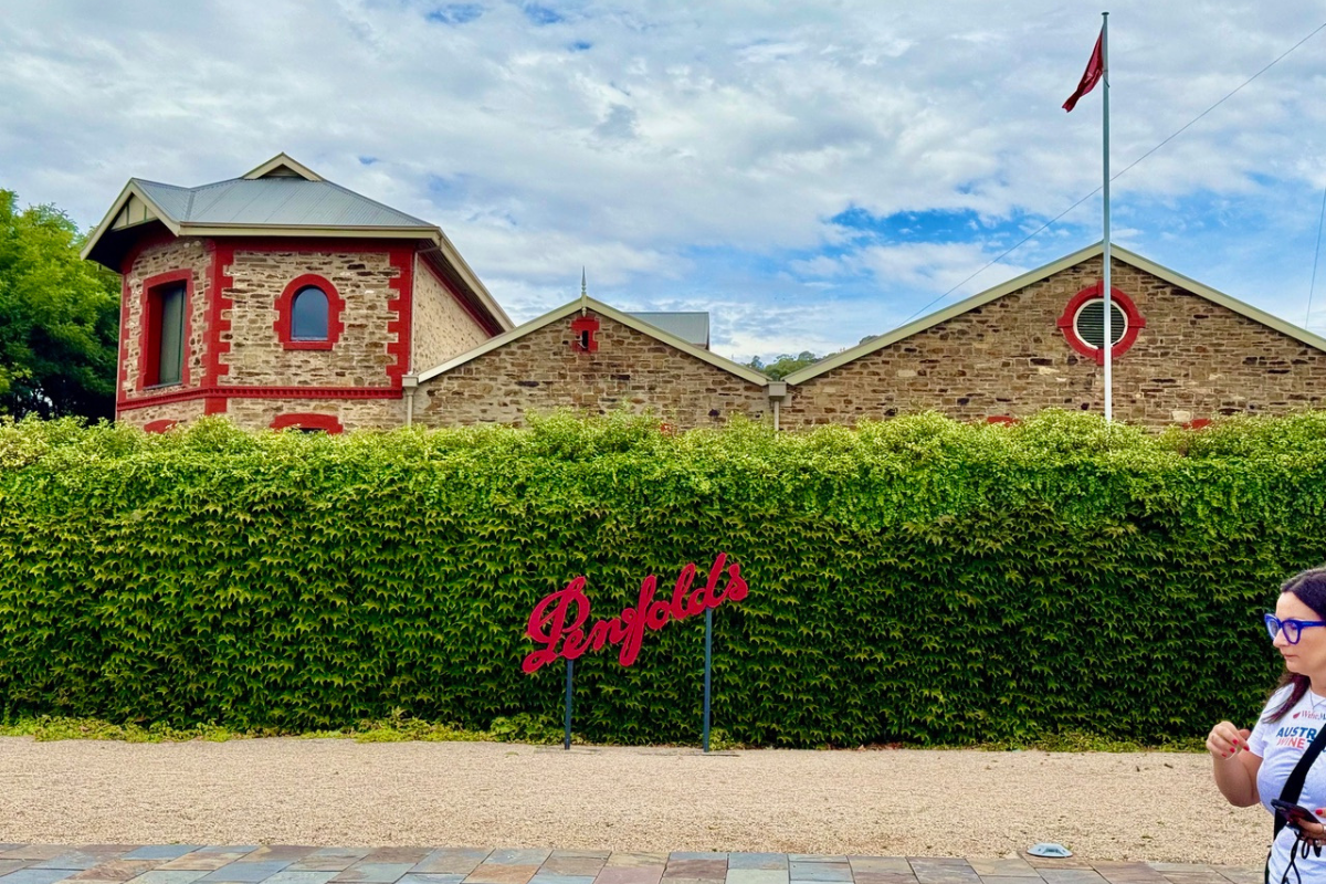 Treasury Wine Estates bilancio 2025 brillante, ma arriva la maxi svalutazione negli Stati Uniti