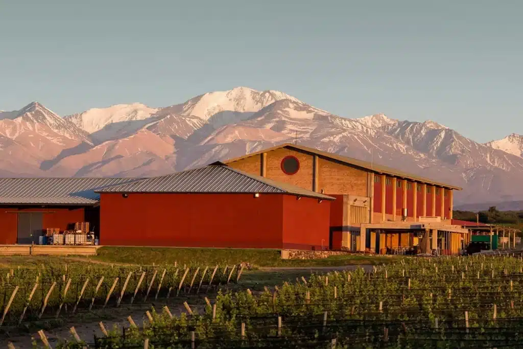 enoturismo berenice burdet masi tupungato