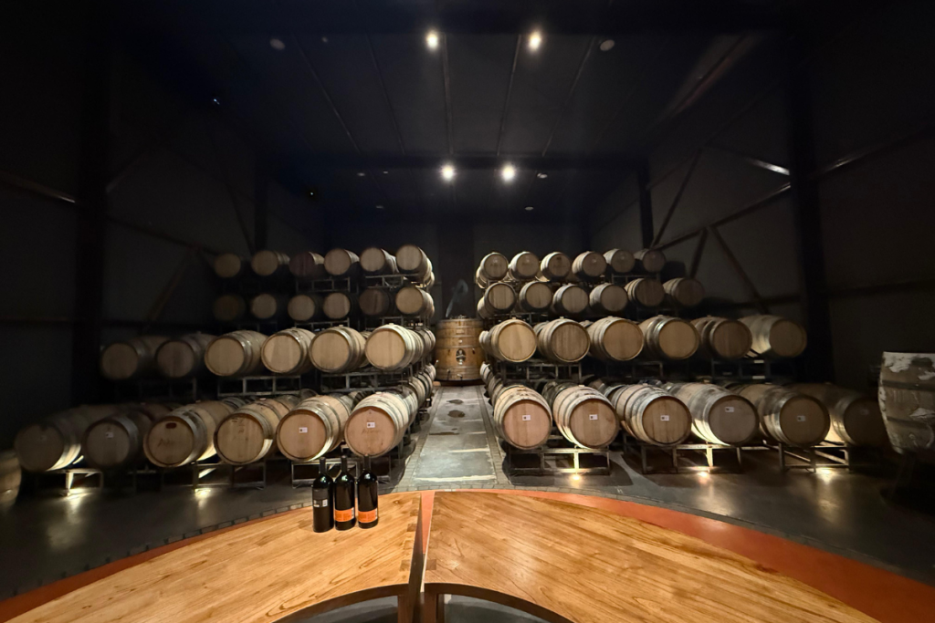 Bodega Renacer l’arte dell’enoturismo italo argentino d’oltreoceano