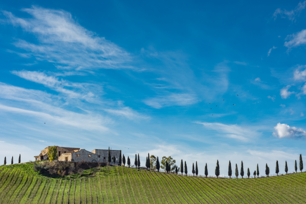 FINE #WineTourism torna a Riva del Garda l'appuntamento con l'enoturismo è per ottobre 2026