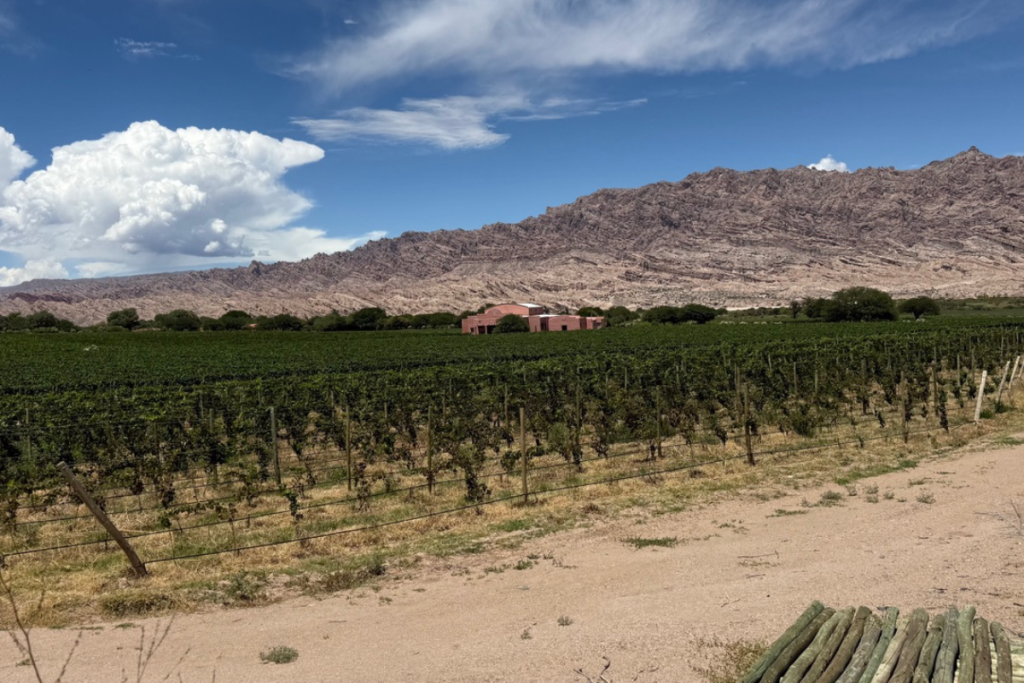 Non Nuovo Mondo, ma altro mondo