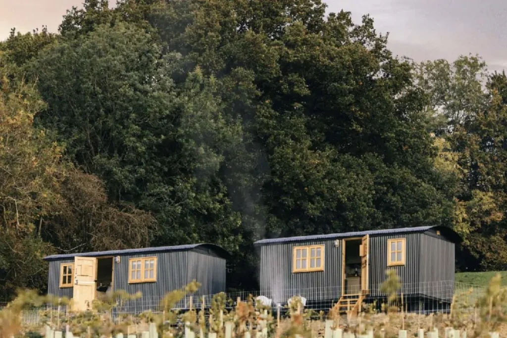 enoturismo turismo vino sostenibilità (1)