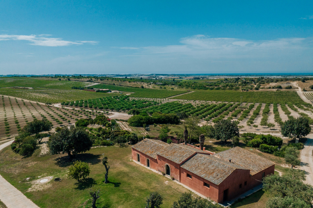 Planeta celebra 30 anni di Chardonnay con un'edizione speciale firmata Claire Fontaine