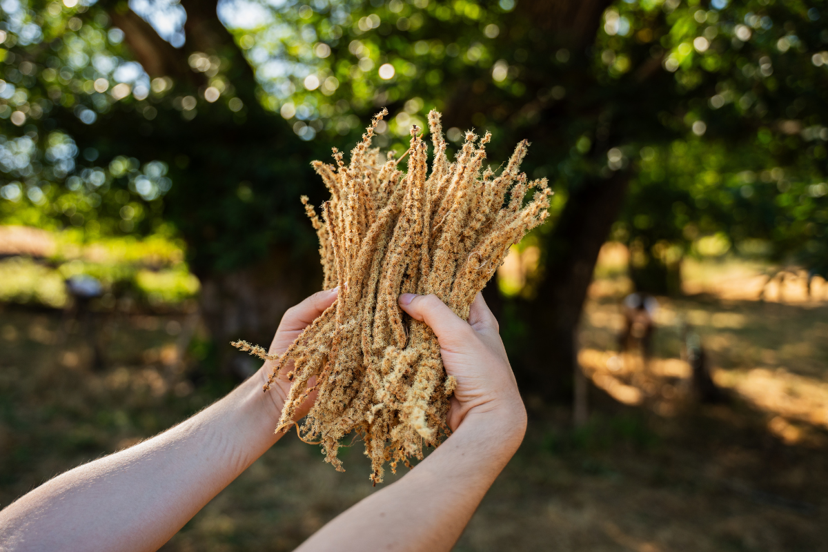 Progetto senza titolo (1)