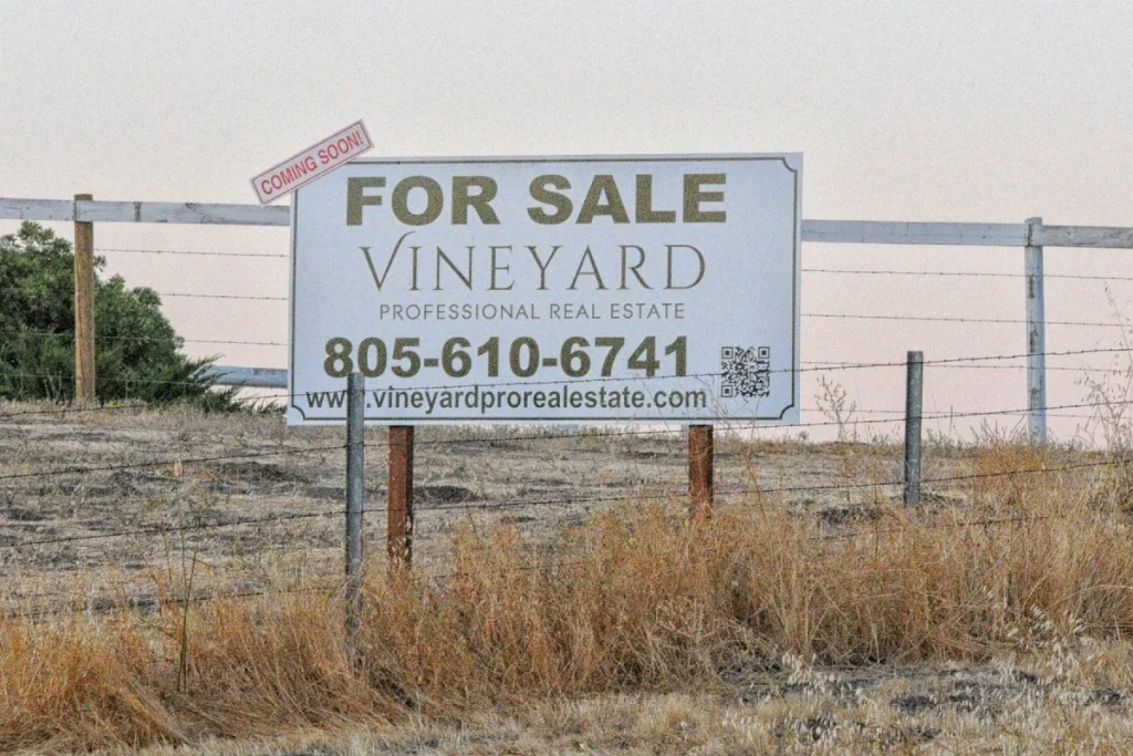 vendita cantine california crisi