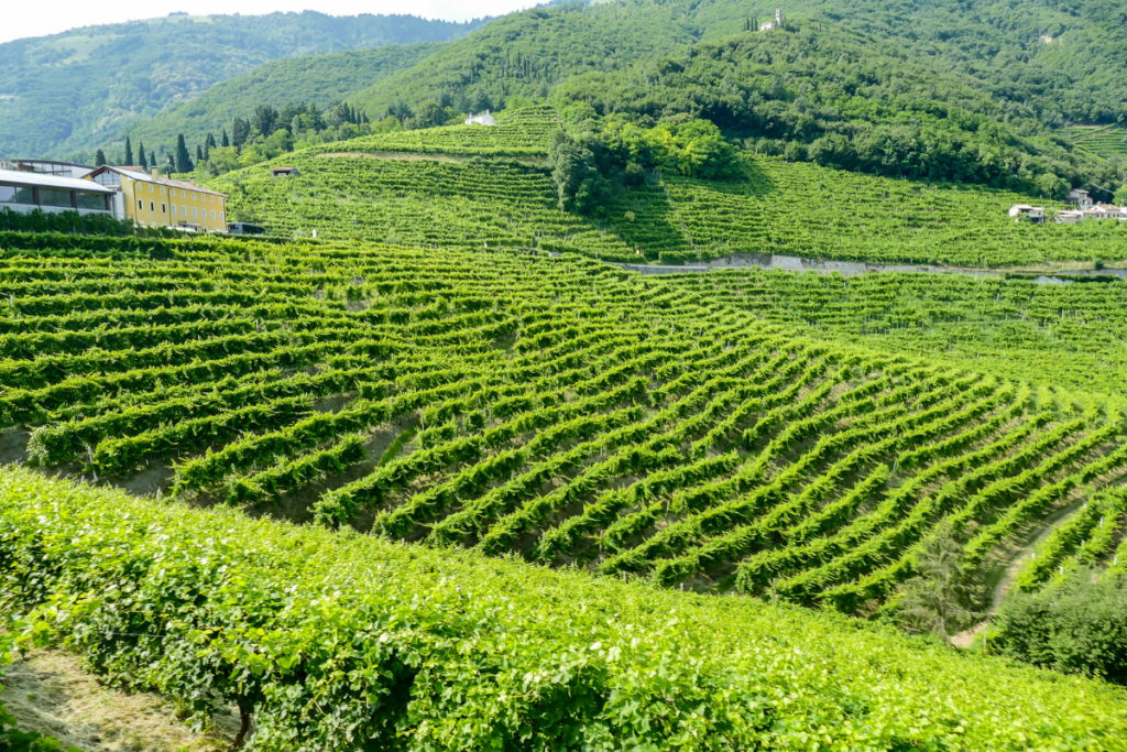 Asolo Prosecco Superiore Docg a ProWein investire nel futuro, non lamentarsi della crisi